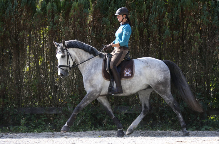 Reiten