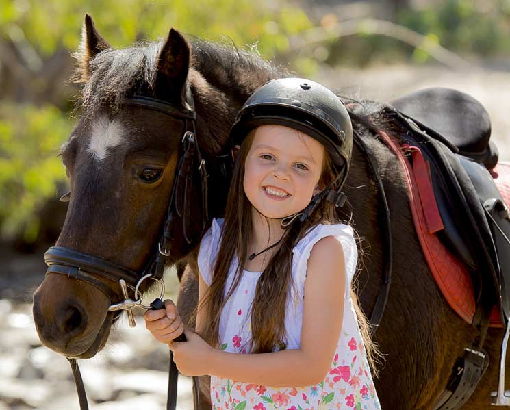 Ponymaster Kurs 2018 Am Ponyhof Schrattenberg Propferd At Osterreichs Unabhangiges Pferde Portal News Aktuelle News