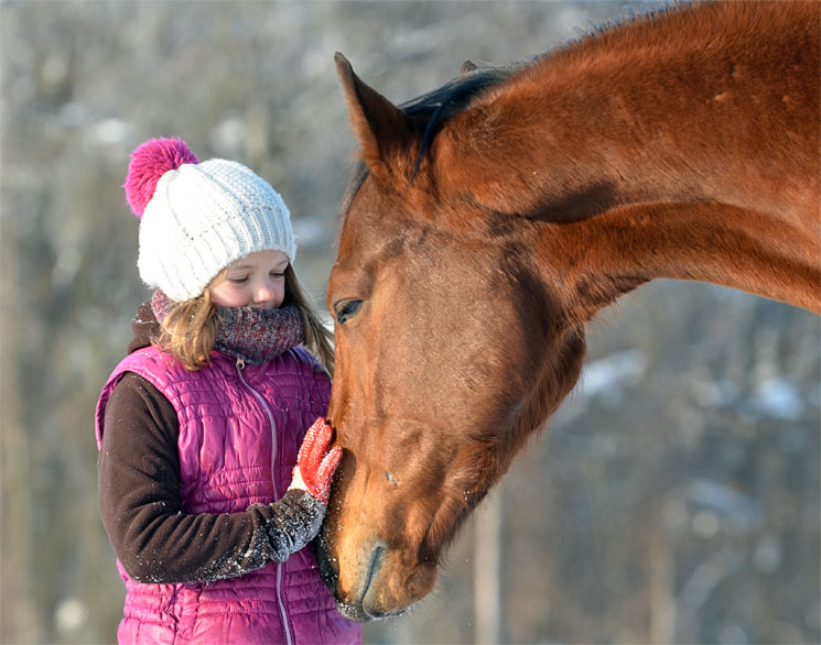 Kind Und Pferd