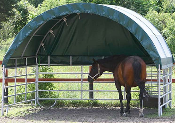 Sonnenschutz Pferde auf der Koppel, Wallario, blickdicht, mit Saugnäpfen,  wiederablösbar und wiederverwendbar