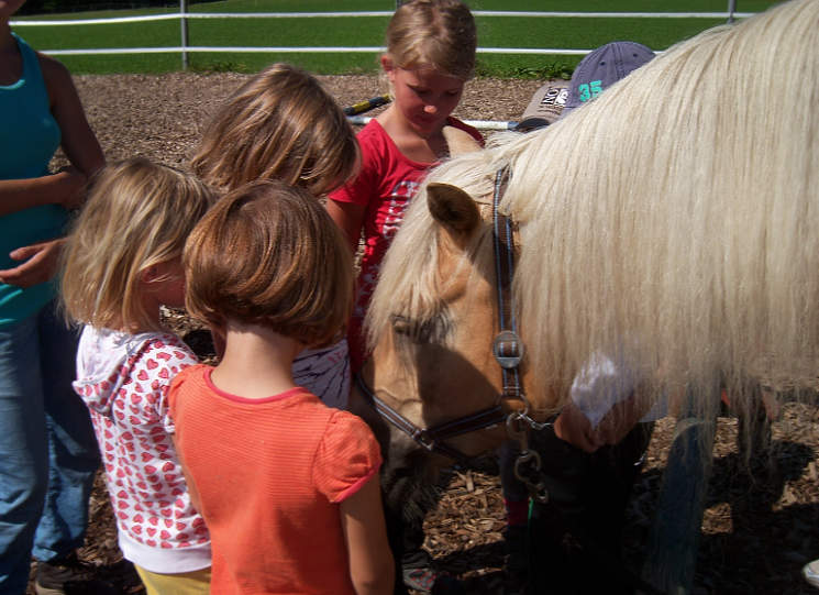 Pferd Und Kind Vereinbaren