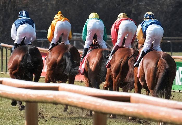 New technology can protect horses from serious injuries and falls – ProPferd.at – Austria's independent horse portal