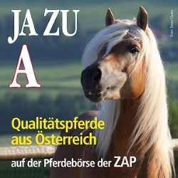 https://www.pferdezucht-austria.at/main.asp?kat1=2120&kat2=2783